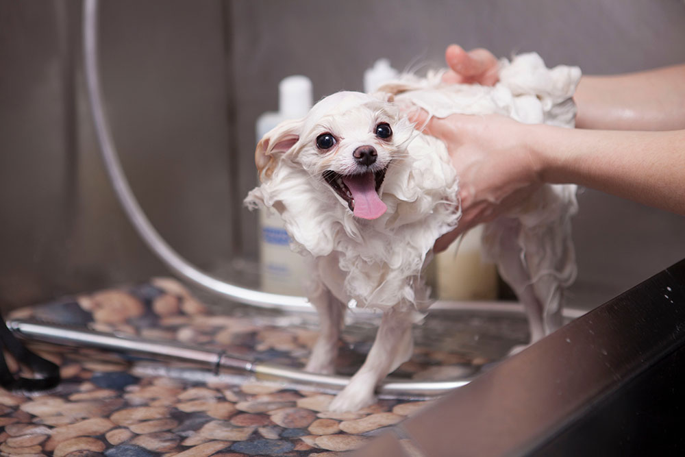 Bath