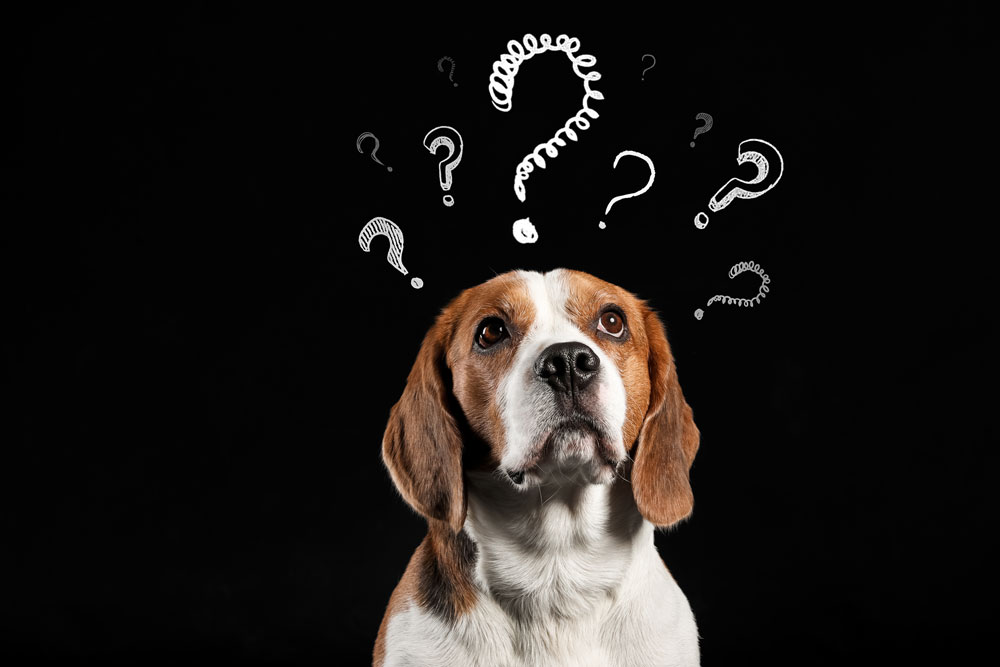 questions